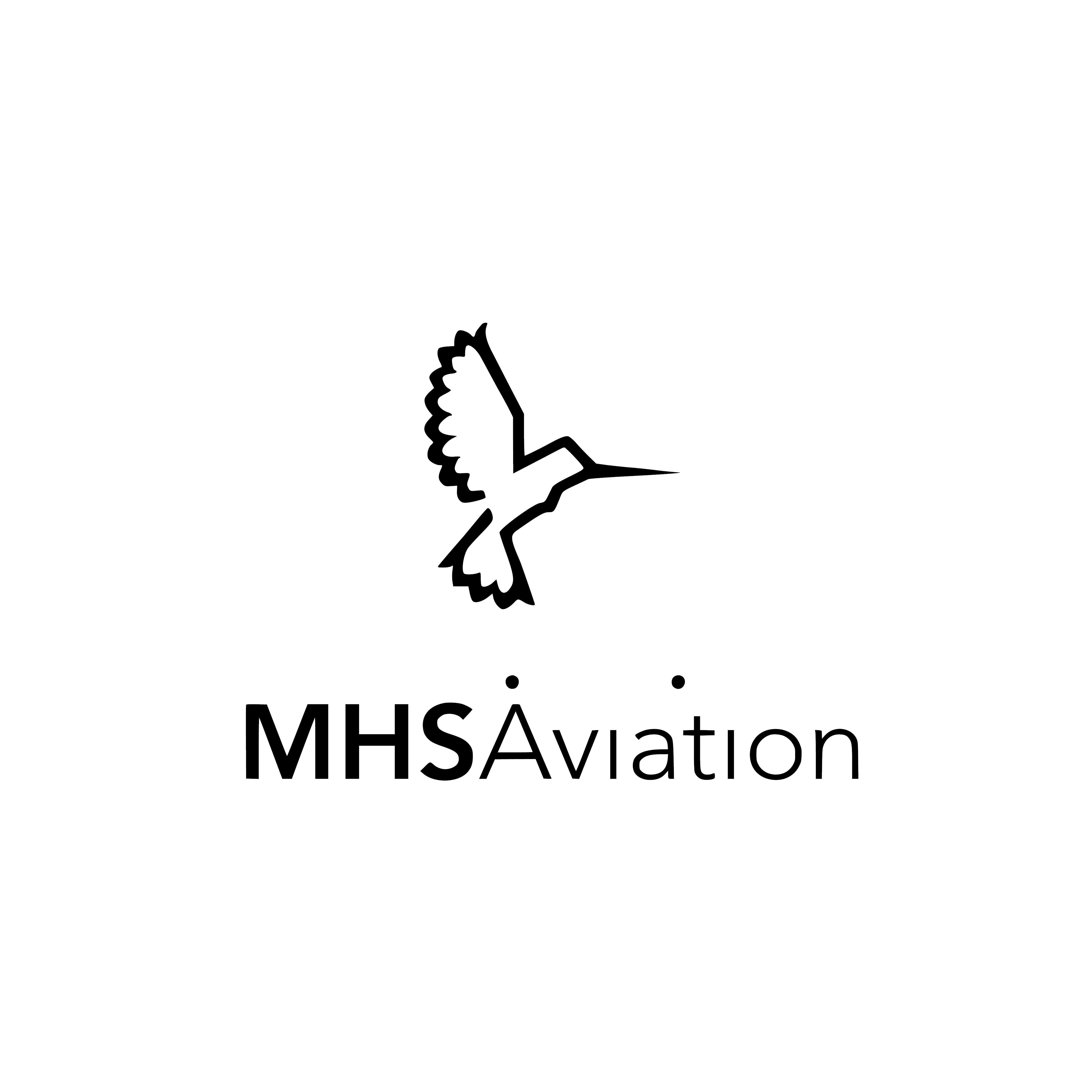 MHS-Aviation Logo
