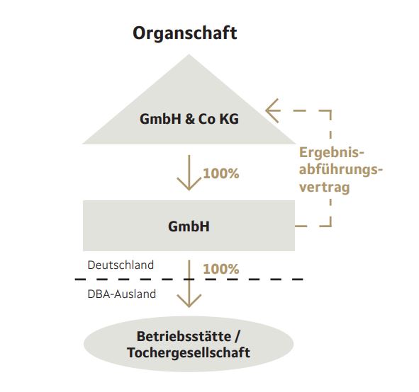 Flussorganigramm Organschaft